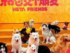 -和它·交个朋友·狗咖猫咖(爱琴海店)