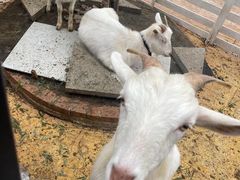 -云间粮仓