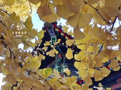 -承恩寺