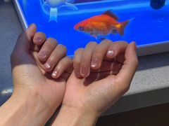 -海底捞火锅(武胜路凯德广场店)