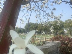 -上膳源有机农场