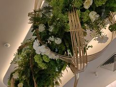 -Aqua Oasis 水天堂(太湖中心mall店)