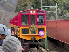 -岚山嵯峨野观光小火车