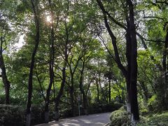 -北极阁公园