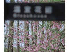 -中山公园