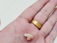 -上海交通大学医学院苏州九龙医院