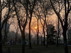-泰丰公园
