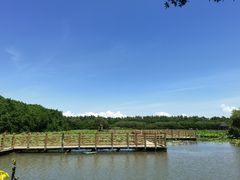 -大湾区中央湿地公园-十九涌