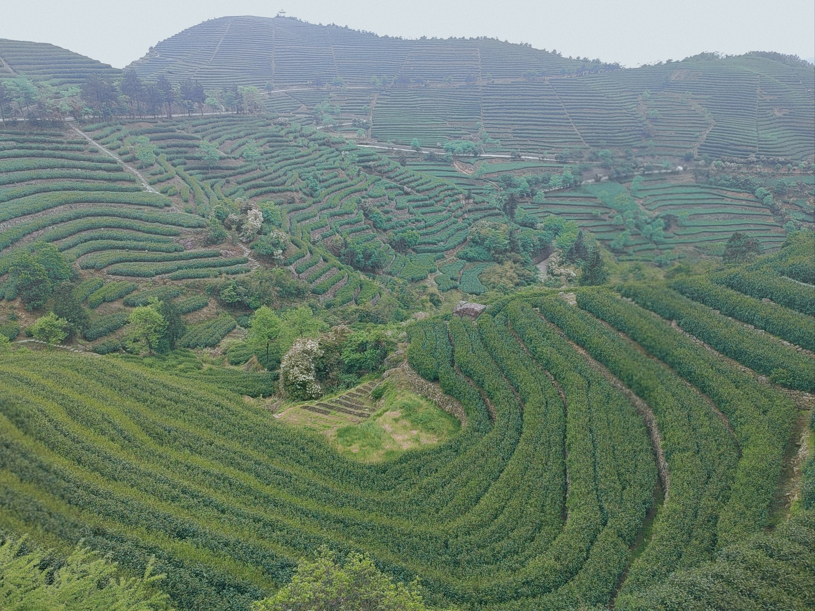 临海羊岩山风景区图片