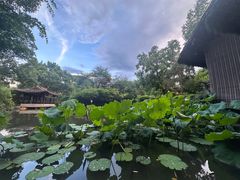 -绍兴鲁迅故里·沈园景区