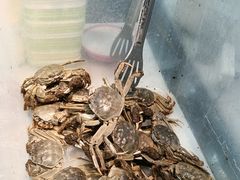 -养牛邓·潮汕牛肉海鲜自助火锅(广州店)