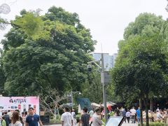 -铁像寺水街