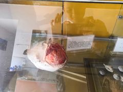 -南京金牛湖风景区