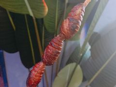 -冰城小镇音乐串吧·聚会餐厅(百子湾店)