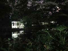 -人民公园(罗湖区)