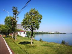 -艾溪湖湿地公园