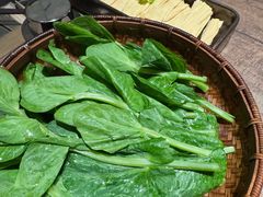 -蘑界·野生菌火锅(深业上城店)