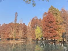 -白塘生态植物园