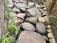 -天水蔬食料理(树德之光店)