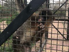 -石家庄市动物园