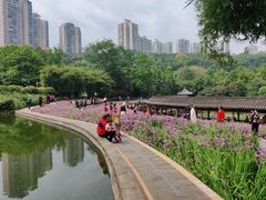 -龙头寺公园