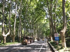 -紫金山山顶公园