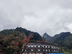 -秦岭天竺山生态文化旅游景区