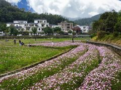 -红山村