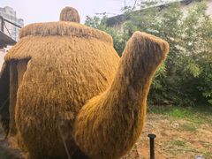 -柴米油盐(土菜院子店)