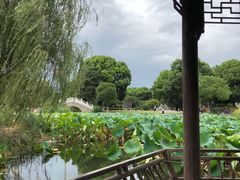 -花溪公园