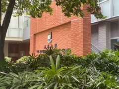 -香港大学