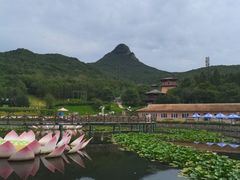 -帽儿山风景区