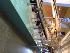iphone_upload_pic-墨尔本博物馆(Melbourne Museum)