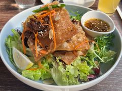 -bluefrog蓝蛙(石家庄欢乐汇店)