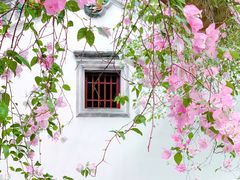 -深圳国际园林花卉博览园