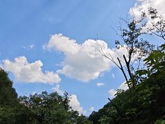 -牛背梁国家森林公园
