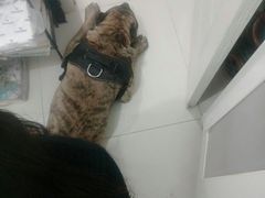 -果粉管家苹果维修·苹果哥科技(中关村科贸中心写字楼店)