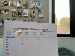 -心仪动物医院·牙专科·肿瘤·心脏科(西客站院)