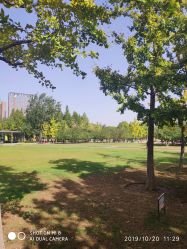 -大望京儿童游乐场