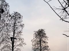 -广富林郊野公园