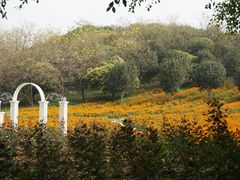-松山湖梦幻百花洲