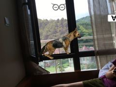 -斯瑞特国际酒店