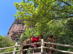 -放哈·甜醅子奶茶创造者(阳光丽景湾店)
