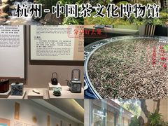 -中国茶叶博物馆(双峰馆区)