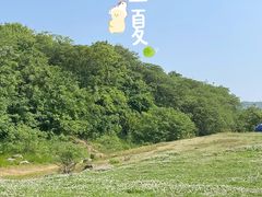 -羊山湖公园