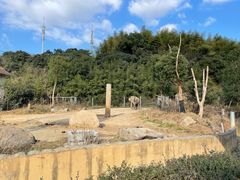 -宁波野生动物园