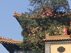 -济南大明湖景区