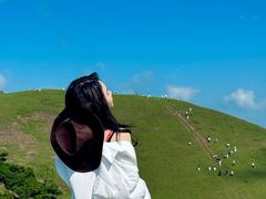 -大姆山草场