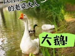 -海淀公园