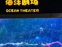 -郑州海洋馆